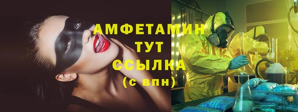 гидра Майский