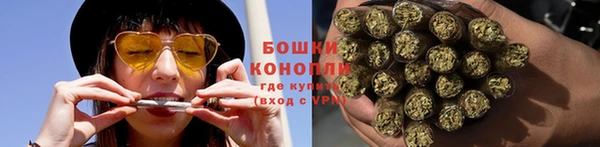 гидра Майский