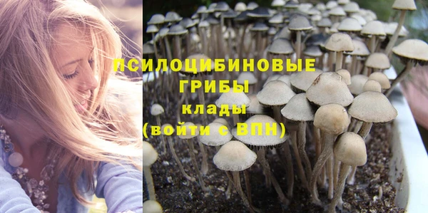 тгк Магадан