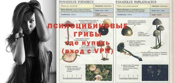 тгк Магадан