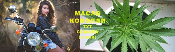 гидра Майский