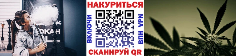 Шишки марихуана White Widow  Брюховецкая 